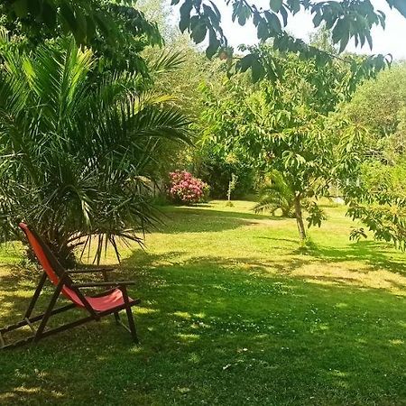 Appartement En Bord De Mer 40 M2, 2 Personnes Étables Dış mekan fotoğraf